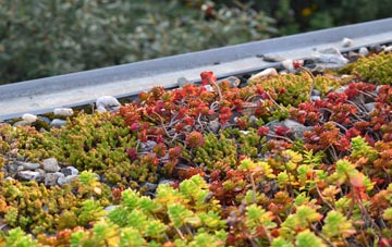 the cost of Mannings Heath green roof installation