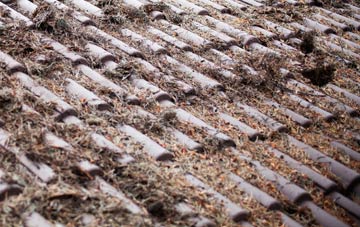 Mannings Heath roof cleaning companies