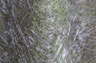 Mannings Heath fibreglass roof work